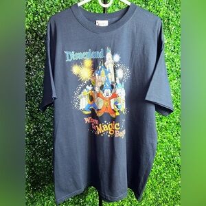 NWT Disney Land Castle Mickey and Pals Navy Shirt XL